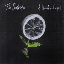 The Districts: Flourish and a Spoil (Vinyl LP)