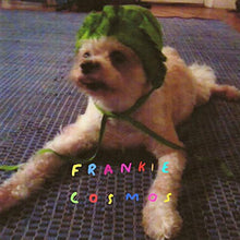 Frankie Cosmos: Zentropy (Vinyl LP)
