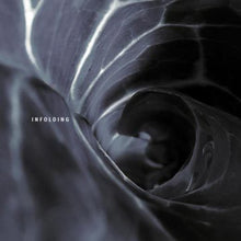 Spin Marvel: Infolding (Vinyl LP)