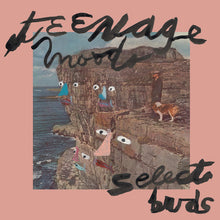 Teenage Moods: Select Buds (12-Inch Single)