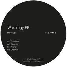 Pavel Iudin: Waxology (12-Inch Single)