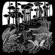 Posse: Soft Opening (Vinyl LP)