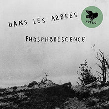 Dans Les Arbres: Phosphoresence (Vinyl LP)