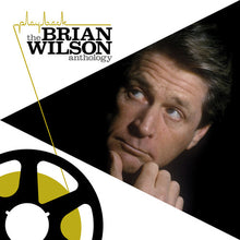 Brian Wilson: Playback: Brian Wilson Anthology (Vinyl LP)