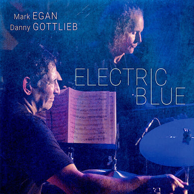 Electric Blueby Egan, Mark / Gottlieb, Danny (Vinyl Record)
