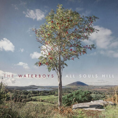 All Souls Hillby Waterboys (Vinyl Record)