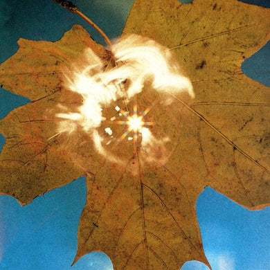 Force Of The Wind (IEX) Clearby Soyuz (Vinyl Record)