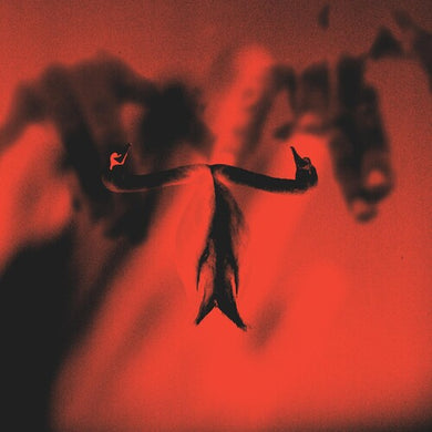 Make Team Presents Maxim Mental In Maximalismby Maxim Mental (Vinyl Record)