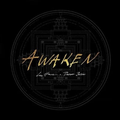 Awaken - Goldby Harris, Lee / Bozic, Davor (Vinyl Record)