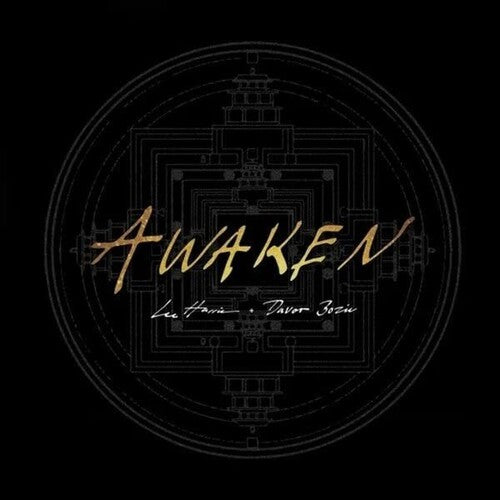 Awaken - Goldby Harris, Lee / Bozic, Davor (Vinyl Record)