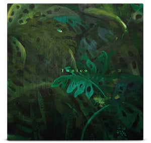Tunicoby Tunico (Vinyl Record)