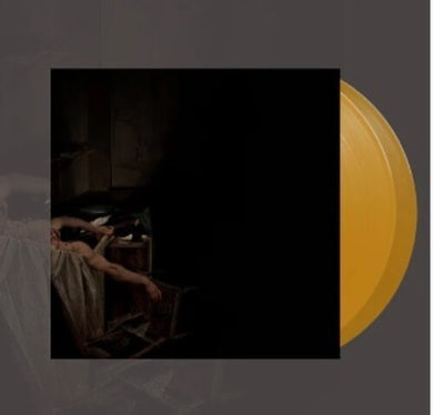 Voidsby Have a Nice Life (Vinyl Record)