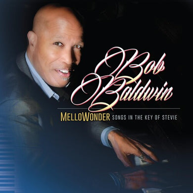Mellowonder- Songs In The Key Of Stevieby Baldwin, Bob (Vinyl Record)