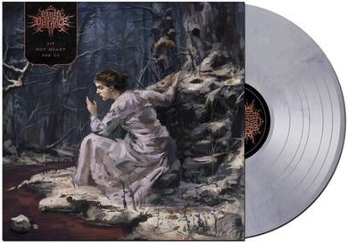 Air Not Meant For Usby Fires in the Distance (Vinyl Record)