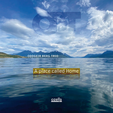 A Place Called Homeby Berg, Oddgeir (Vinyl Record)