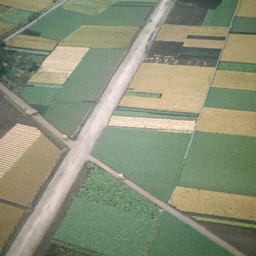 Perfectly Beneath Usby Celer (Vinyl Record)