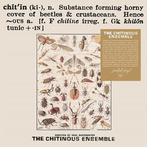 Chitinousby Chitinous Ensemble (Vinyl Record)