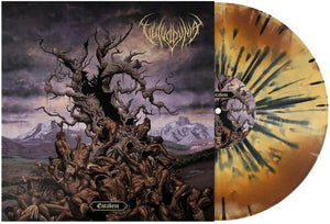 Entabeniby Vulvodynia (Vinyl Record)