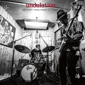 undulationby Usui, Yasuhiro (Vinyl Record)