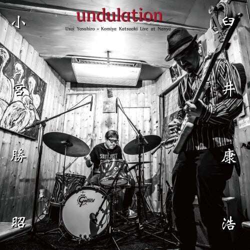 undulationby Usui, Yasuhiro (Vinyl Record)