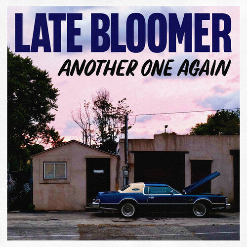 Another One Againby Late Bloomer (Vinyl Record)