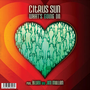 What's Going On / What Color Is Loveby Citrus Sun (Vinyl Record)