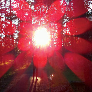 Emprosby Russian Circles (Vinyl Record)