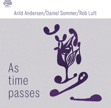 As Time Passesby Andersen, Arild / Sommer, Daniel / Luft, Rob (Vinyl Record)
