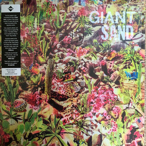 Returns To Valley Of Rain - Limited Colored Vinylby Giant Sand (Vinyl Record)