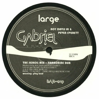 Gabrielby Davis Jr, Roy (Vinyl Record)