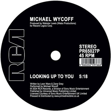 Looking Up To Youby Wycoff, Michael (Vinyl Record)