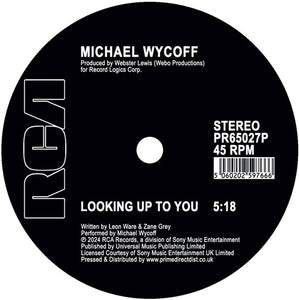 Looking Up To Youby Wycoff, Michael (Vinyl Record)