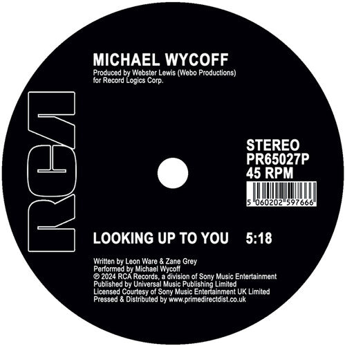 Looking Up To Youby Wycoff, Michael (Vinyl Record)
