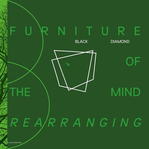 Furniture Of Mind Rearrangingby Black Diamond (Vinyl Record)