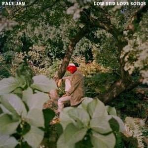 Low End Love Songs - Storm Cloud Greyby Pale Jay (Vinyl Record)