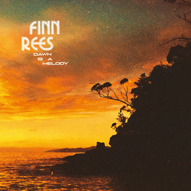 DAWN IS A MELODYby Rees, Finn (Vinyl Record)