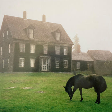 The Academy - Meadow Greenby Lutalo (Vinyl Record)