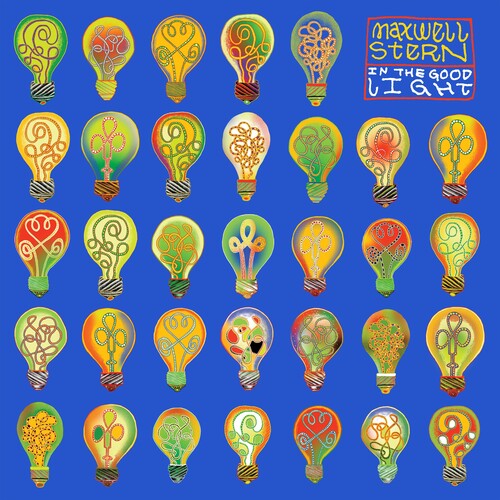 In The Good Lightby Stern, Maxwell (Vinyl Record)