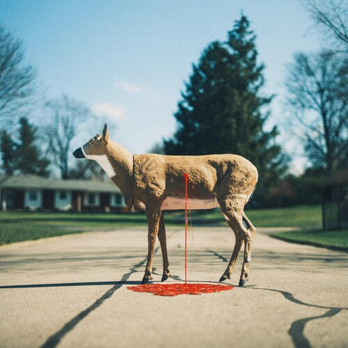 Bastionby Graham, Wayne (Vinyl Record)