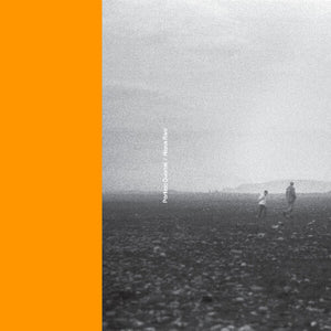 Portico Quartet / Hania Raniby Portico Quartet / Hania Rani (Vinyl Record)