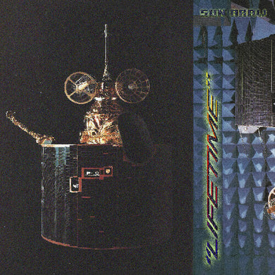 Lifetimeby Sun Araw (Vinyl Record)