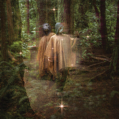 Forasteroby Terror/Cactus (Vinyl Record)