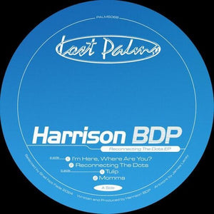 Reconnecting The Dotsby Harrison Bdp (Vinyl Record)