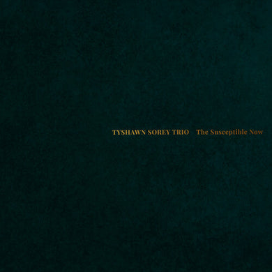 The Susceptible Nowby Tyshawn Sorey Trio (Vinyl Record)