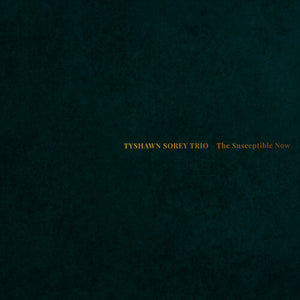 The Susceptible Nowby Tyshawn Sorey Trio (Vinyl Record)