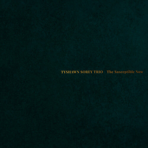 The Susceptible Nowby Tyshawn Sorey Trio (Vinyl Record)