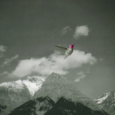 Melt Awayby Bardo Pond (Vinyl Record)