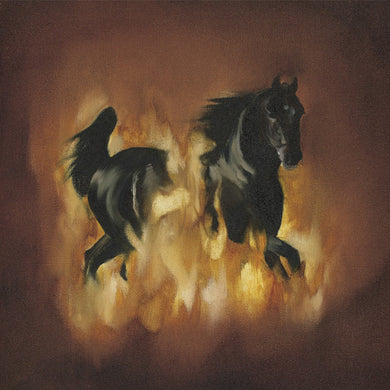 Besnard Lakes: The Besnard Lakes Are The Dark Horse (Vinyl LP)