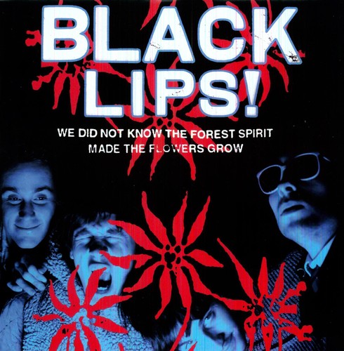 Black Lips: We Did Not Know the Forest Spirit Made the Flowers (Vinyl LP)