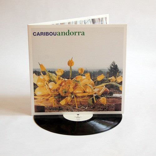 Caribou: Andorra (Vinyl LP)